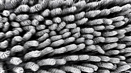 closeup surface texture of a grey dark cloth micro fiber, used foot scraper mat, dirty and dry under warm sunlight, selective focus blur background