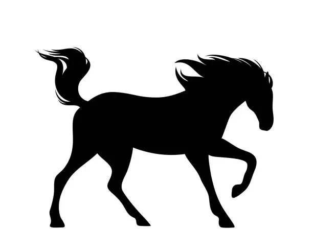 Vector illustration of running mustang horse black silhouette