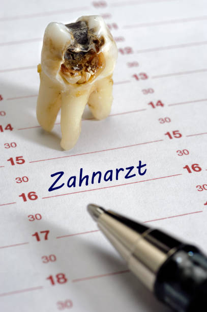 extracted molar with hole standing over calendar with date for dentist: in German language - Zahnarzt extracted molar with hole standing over calendar with date for dentist: in German language - Zahnarzt zahnarzt stock pictures, royalty-free photos & images