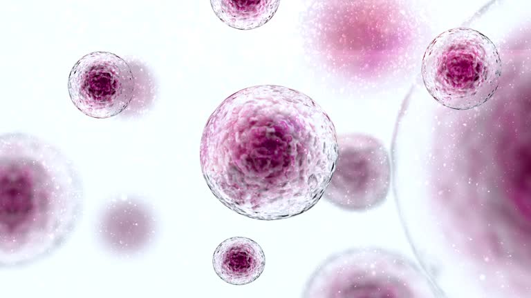 2,691 Animal Cell Structure Stock Videos and Royalty-Free Footage - iStock | Cell membrane, Plant cell, Animal cells 2,691 Animal Cell Structure Stock Videos and Royalty-Free Footage - iStock | Cell membrane, Plant cell, Animal cells