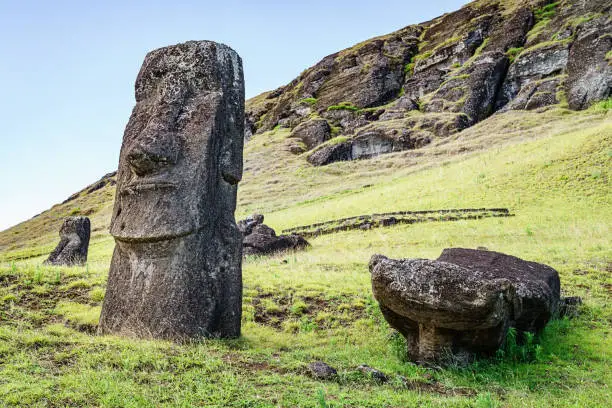 Rano Raraku Easter Island Moai Statues under blue sunny summer sky. Rano Raraku, Rapa Nui National Park, Hanga Roa, Easter Island, Isla de Pascua, Polynesia, Chile, Oceania