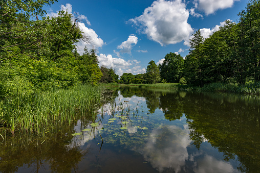 The riverbed of a small river, running water, the sun and silence - a fisherman's dream. On a sunny day on a small river very quietly and calmly, the sun is shining, birds are singing, the clouds and trees are reflected in the river