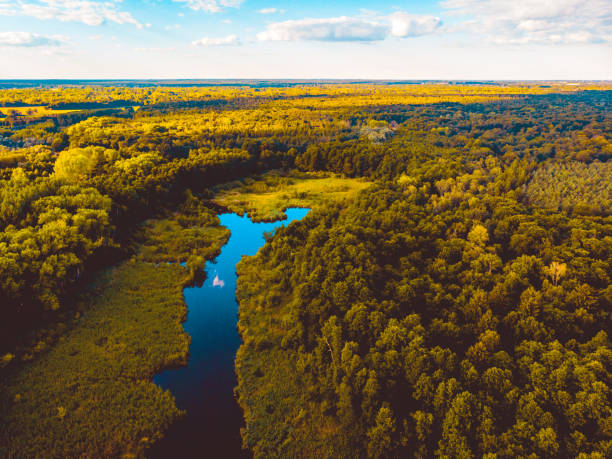 small river in a forest overview - nature scene taken by a drone stock photo