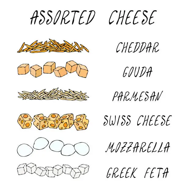 Vector illustration of Assorted Popular Cheese Kinds Set. Grated Chedder, Parmesan, Gouda, Swiss, Feta Cubes, Mini Mozzarella. Pizza Ingredients. Hand Drawn High Quality Clean Vector Realistic Illustration. Doodle Style