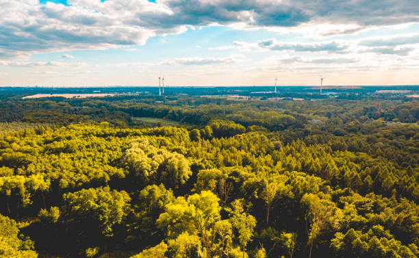 istock forest from the bird view with some wind turbines in the background 994371262