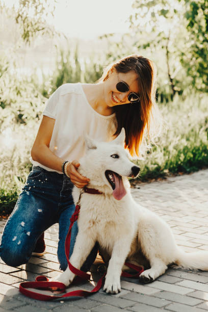 istock Smiling woman petting dog 994377522