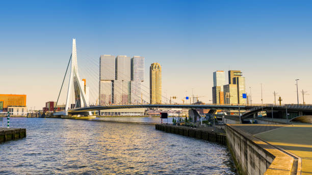 istock Erasmus bridge and waterfront in Rotterdam at sunset. 994382874