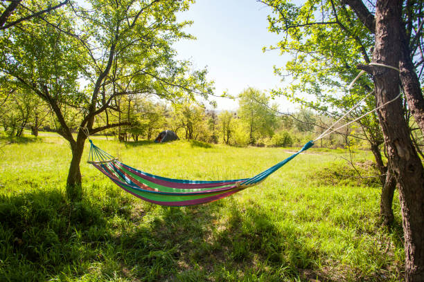 istock hammock hanging between trees on green field at sunny day 994390518