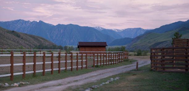 river bank in the mountains
