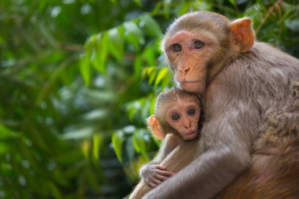istock Mother and Child 994398242