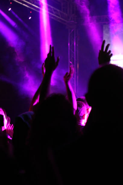 istock Crowd cheering at the Music Concert 994400684
