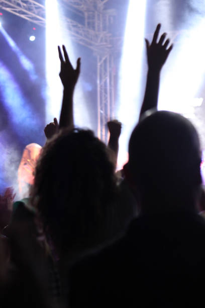 istock Crowd cheering at the Music Concert 994400690