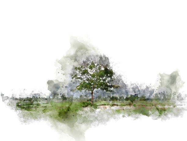 albero astratto e paesaggio di campo su sfondo pittura illustrazione acquerello. - paintings watercolor painting tree landscape foto e immagini stock