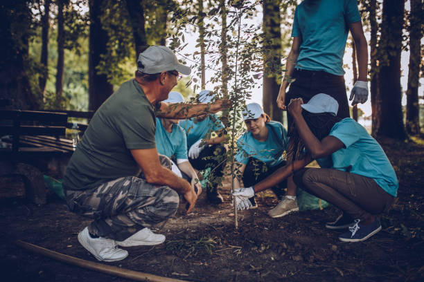 istock People planting tree in the park 994408382