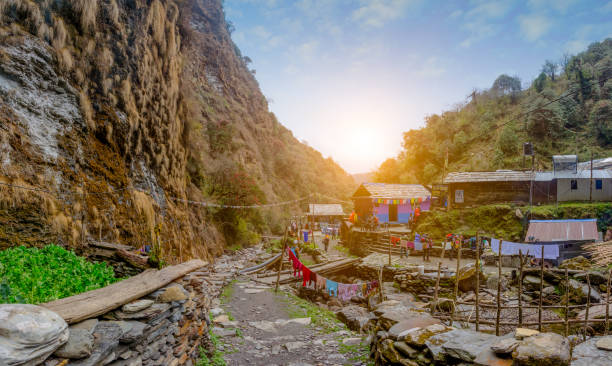 accommodation and nepalese house on the mountain on the way  to annapurna base camp, nepal - nepal landscape hiking rice imagens e fotografias de stock