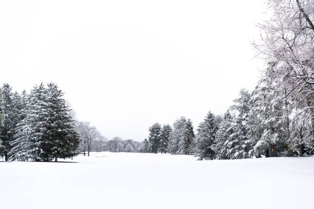 istock Winter landscape with evergreen trees and fresh snow 994419252