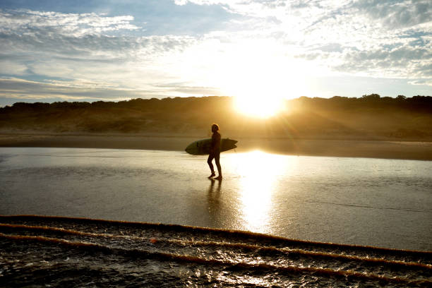 istock surfing in the sea 994421592