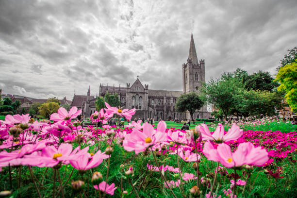 dublin ireland saint patrick's cathedral - dublin ireland place of worship church travel destinations imagens e fotografias de stock