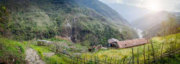 accommodation and nepalese house on the mountain on the way  to annapurna base camp, nepal - nepal landscape hiking rice imagens e fotografias de stock