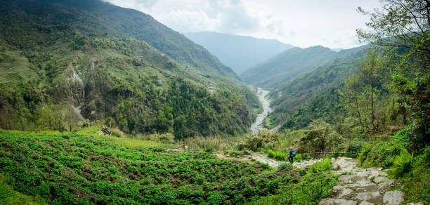 beautiful himalayan forest landscape, view of fields rice view when travelers trekking to annapurna base camp (abc.) in nepal - nepal landscape hiking rice imagens e fotografias de stock