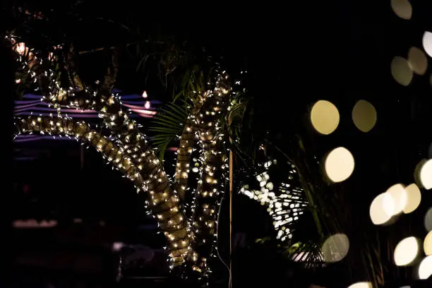 Christmas holiday bokeh abstract background with golden yellow circles illuminated decoration lights on palm tree at night evening dark black