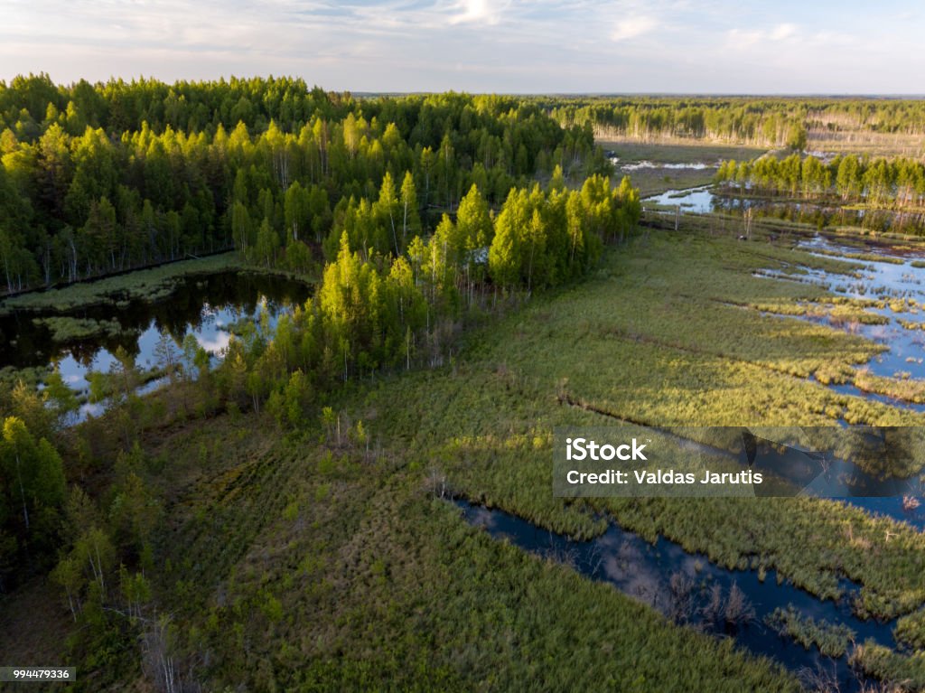 Flooded forest fields Accidents and Disasters Stock Photo