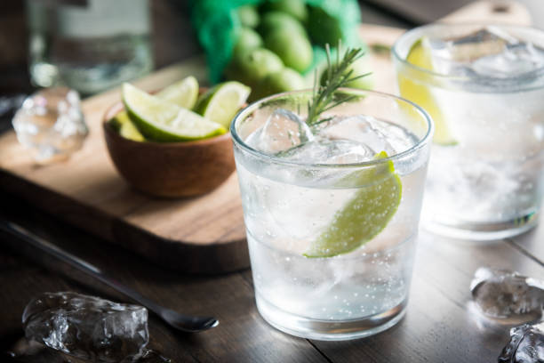 fresh gin tonic - hard liquor imagens e fotografias de stock