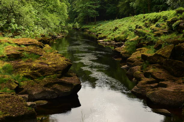 Strid Cave System 80+ Strid Stock Photos, Pictures & Royalty-Free Images - iStock
