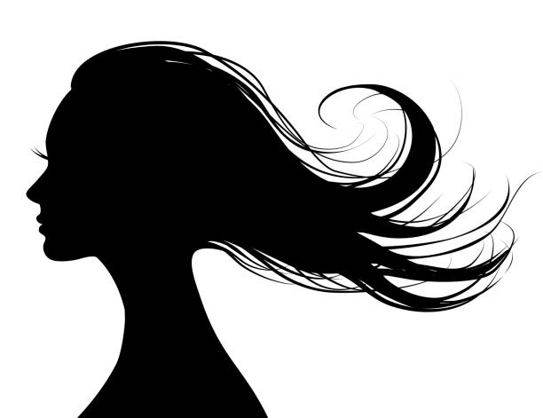 head profile of a beautiful woman with flying hair Woman Hair style Silhouette wind silhouettes stock illustrations