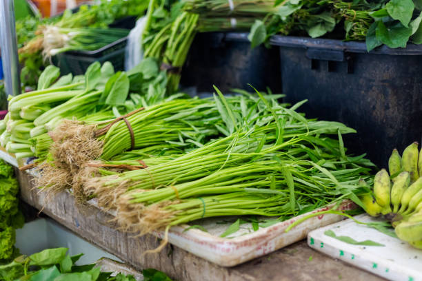 istock Thai morning glory on market 994500668