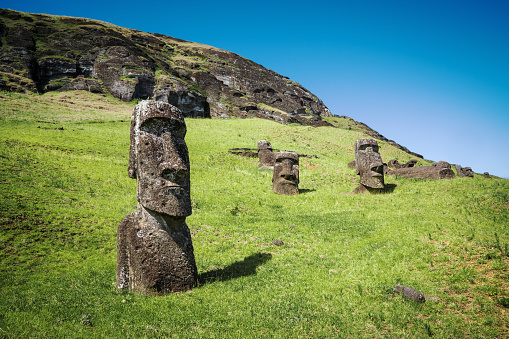 Rano Raraku Easter Island Moai Statues under blue sunny summer sky. Rano Raraku, Rapa Nui National Park, Hanga Roa, Easter Island, Isla de Pascua, Polynesia, Chile, Oceania