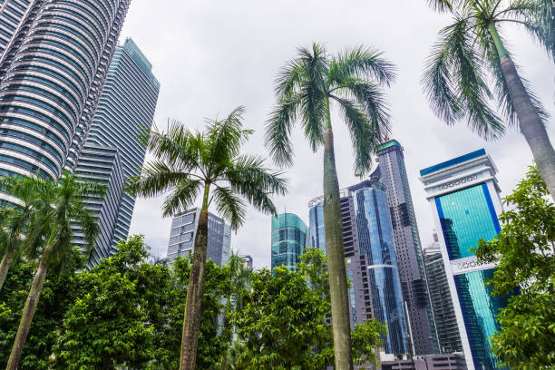 istock Downtown kuala lumpur with skyscrapers and palms, Malaysia 994500800