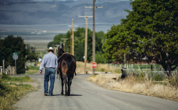 istock Utah cowboy and his horse 994509910
