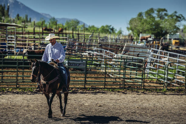 istock Utah cowboy and his horse 994509990