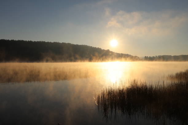 istock Sunrise over misty lake 994510658