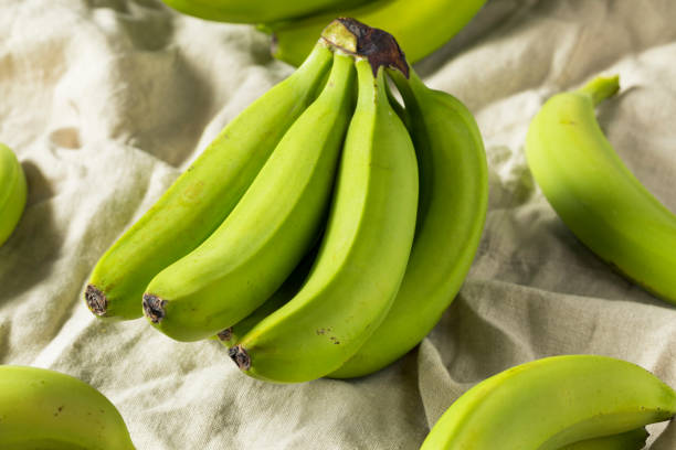 istock Organic Raw Green Unripe Bananas 994518764