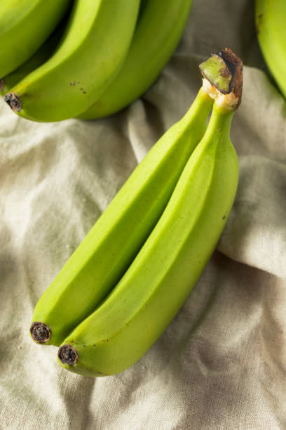 istock Organic Raw Green Unripe Bananas 994518862