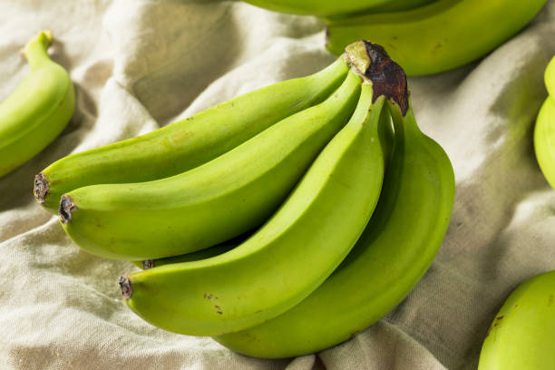 istock Organic Raw Green Unripe Bananas 994518928