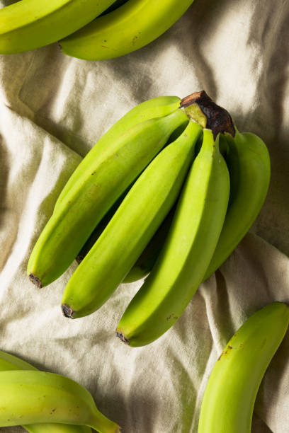 istock Organic Raw Green Unripe Bananas 994518946