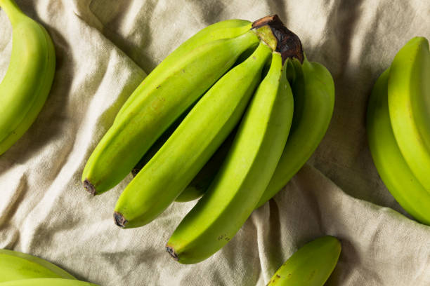istock Organic Raw Green Unripe Bananas 994518974
