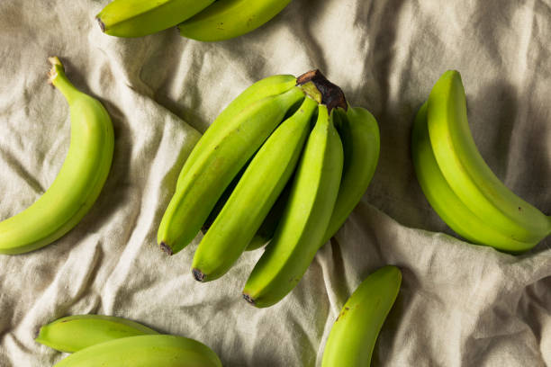 istock Organic Raw Green Unripe Bananas 994519000