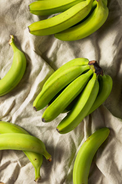 istock Organic Raw Green Unripe Bananas 994519024