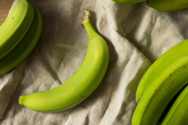 istock Organic Raw Green Unripe Bananas 994519090