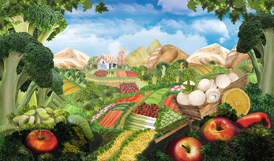 Photo collage. The landscape is made of vegetables, fruits and berries in high resolution. A picture of food.