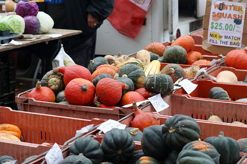 Colorful winter squashes for sale in boxes at the autumn seasonal farmers market. Agriculture, farming and small business background. Harvest concept.