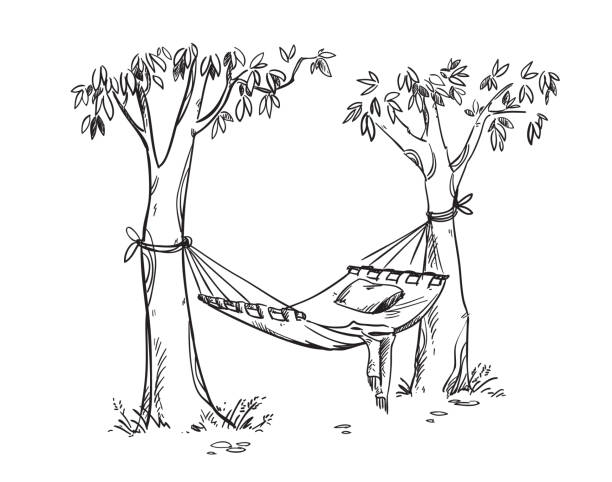 ilustrações de stock, clip art, desenhos animados e ícones de cosy hammock in a garden. vector line drawing - hammock