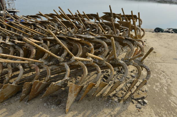 istock The anchor on the shore 994569586
