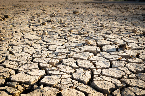 istock Cracked earth due to drought, or River dried up, showing environmental damage. 994586678