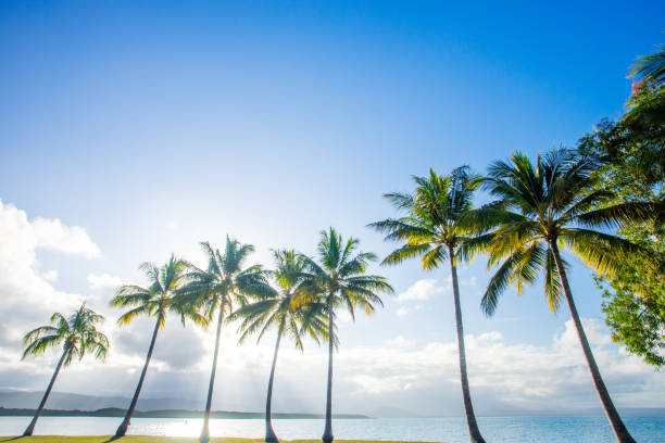 istock Port Douglas in North Queensland, Australia 994603178