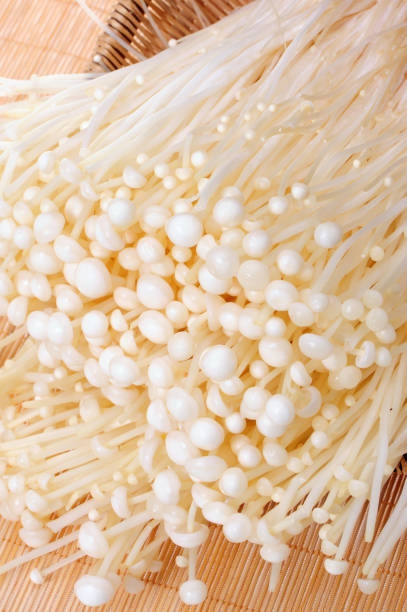 istock Golden needle mushroom  on white background 994645856